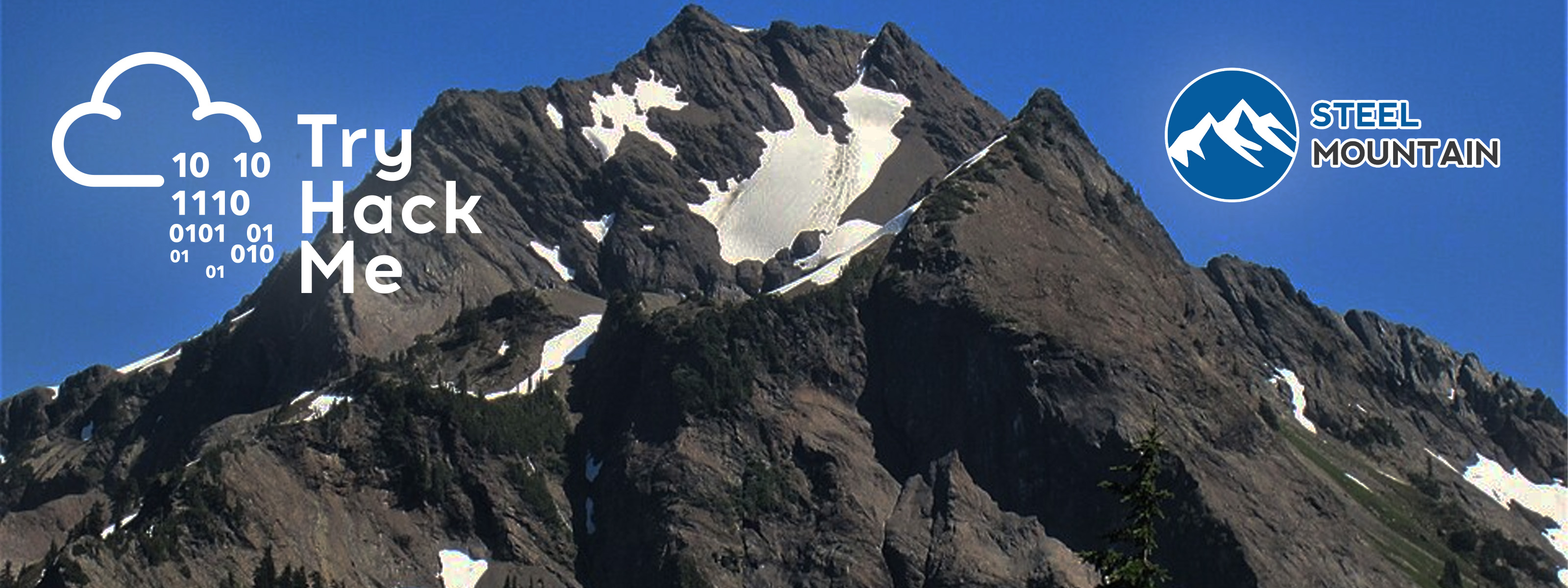 Try Hack Me - Steel Mountain